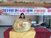 용산구, 110.5㎏으로 슈퍼호박 대상 차지