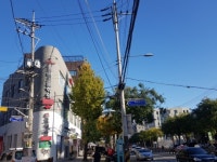 [사교육 캐슬이 그리는 부동산 지도③]비강남권 맹모는 어디로, 신흥학원가 마포vs학군대장 목동·노원