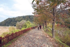 가볍게 떠나는 경기도 광주여행…떠나려는 가을을 만끽하세요