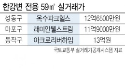 한강변 마·용·성 59㎡도 속속  ‘12억 클럽’