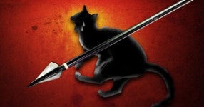 “길냥이 쫓아내려고…” 살상용 화살촉 쏜 40대 입건