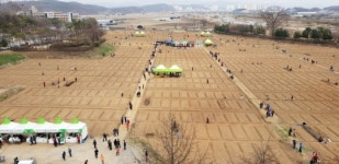 파주시, 금촌동 주말농장 2500계좌 분양