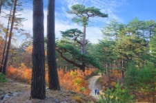 울진 대한민국 청정생태 1번지, 서울서 구애작전 전개