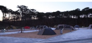 도심 속 자연과 함께하는 ‘평택 내리캠핑장’ 운영