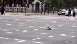 [헤럴드pic] ‘바람에 날아가는 신문’