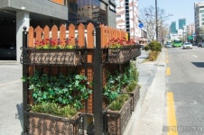 양천구,  봄 알리는 ‘초록 울타리’