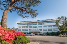 강원 고성군청 매일 주차전쟁.. 알고보니 직원車 점령