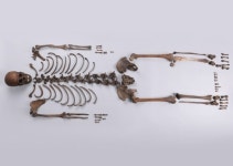 1300년전 경주엔 수세식 화장실 있었다…동궁월지 조사