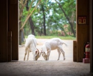 당진,고창 양조장·농촌체험지, 영동,익산 시내문화관광지로 육성
