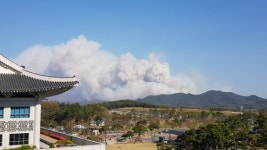 안동 풍천 산불 확산…주민 150여명 긴급 대피