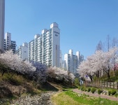 수지 풍덕천동 현대성우8단지 리모델링 조합설립 창립총회 개최