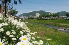 하남시 덕풍천 ‘쉼’이 있는 도시공간으로 탈바꿈한다