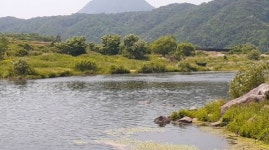 금강 상류에서 다슬기 잡던  70대 물에 빠져 숨져