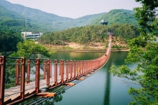 파주시, 마장호수 출렁다리 주변 식당·카페 이용객 주차요금 면제