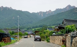 [남도1번지 강진④] 찍먹 육회·회춘탕, ‘푸소’의 情 [함영훈의 멋·맛·쉼]