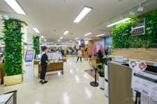 광진구청 민원실 공기정화식물로 가득