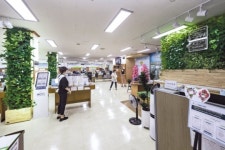 공기정화식물 가득…광진구청 민원실