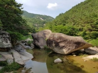 조정래 찬가 “괴산을 거치는 이유는 그놈의 올갱이국” [함영훈의 멋·맛·쉼]