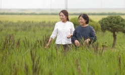 전남 ‘유기농명인’ 제도 10년만에 22명…친환경농업 면적 53% 전국 1위