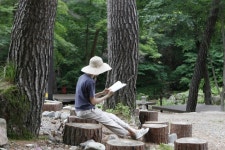 ‘자연은 안전하다’ 관광公 추천 힐링의숲 6선 [함영훈의 멋·맛·쉼]