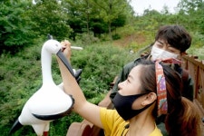 예산 친환경 여행, ‘이 시국 최적 관광지’ 공식 3관왕 비결