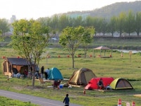 정부 캠핑 강온 양동 전략…불법 엄단, 등록된곳 이용캠페인