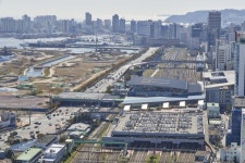 부산의 세 아지매 아시나요…자갈치,깡깡이아지매, 그리고..