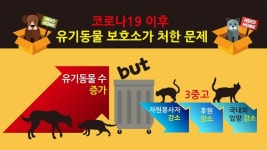 [헤븐] “보호소가 아니라 수용소가 됐다”…코로나19에 유기동물 보호소는 ‘만실’