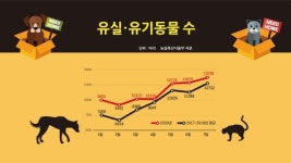 [헤븐] “보호소가 아니라 수용소가 됐다”…코로나19에 유기동물 보호소는 ‘만실’