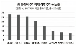 화웨이發 추가제재 초읽기, 반사이익 기대주는?