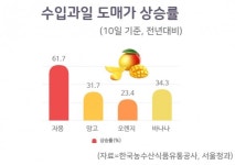 토마토 이어 자몽도 ‘실종’…수입과일값 천정부지 [언박싱]