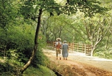 안전·힐링 다 잡는 ‘차박’…신박한 이 곳으로