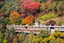 단풍 속 워커힐, 숲체험·쿠킹클래스·은둔형 패키지로 가을맞이