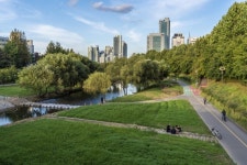 강남스타일 호젓한 산책길 5선, 선정릉·양재숲,가로수길이 부른다