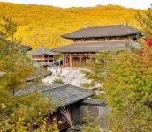 11월 걷기 좋은 여행길, 온달평강길, 영광칠산갯길 등 5선