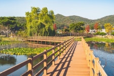 11월 걷기 좋은 여행길, 온달평강길, 영광칠산갯길 등 5선