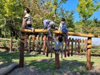 동작구, 숲해설·유아숲 프로그램 다시 운영