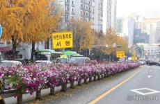 관악구, 남부순환로 일대 환경개선 사업 추진