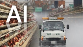 정읍 오리농장서 고병원성 AI 의심가축 발생…올해 첫사례