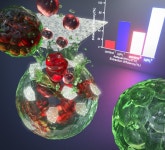 나노면도칼로 미세조류 쉽게 파쇄…‘바이오연료’ 경제성 높인다!