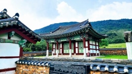 남도종가의 재발견, 부부애국자, 경제·무기 겸장 ‘토털 구국’