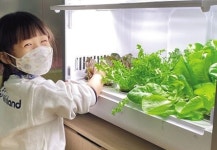 교실 속 작은 텃밭 ‘키즈팜’인기