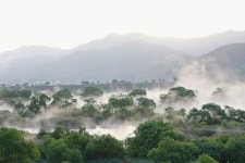 지혜·청정의 하모니…풍요속에 꽃 핀 곡성·구례 명가