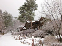 모험심 돋는 수간모옥, 부킹닷컴 추천 겨울 랜선여행지