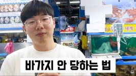 인어교주해적단이 잘 나가는 이유…살아남은 유튜버의 비밀 [헤븐]