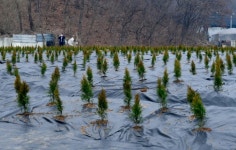 LH직원 토지매입, 땅 세탁 노렸나…대토보상제에도 불똥[부동산360]