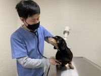 동물의약품 전문기업 서일애니팜, 천안지역의 애견 종합 테마파크로 거듭나…