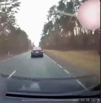 [영상] 하늘로 치솟는 ‘진격의 사슴떼’…속수무책 운전자들