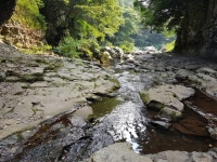 한국에도 산호, 열대장어 산다…서귀포 입체 발굴 착수