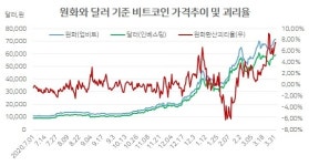 비트코인 또 ‘김치 프리미엄’…원화시세 달러 보다 7% 높아[인더머니]